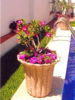 Maceta Decorativa de Fibra de Vidrio